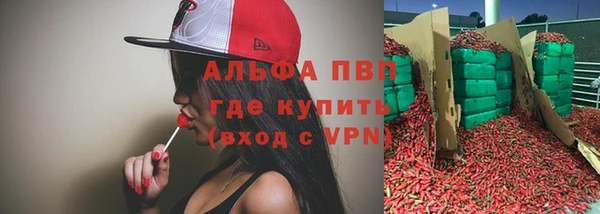 спайс Богданович
