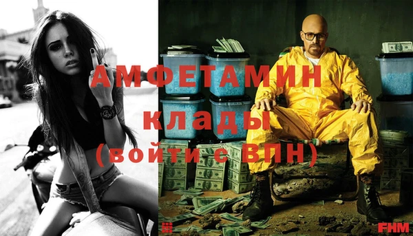 дмт Богородск