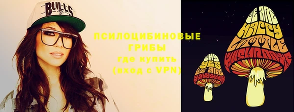 спайс Богданович