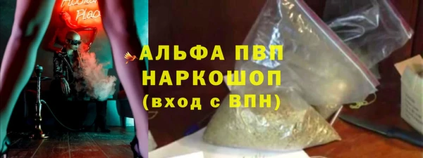 спайс Богданович