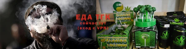 дмт Богородск