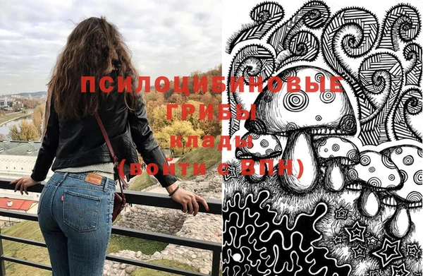 прущие крисы Богородицк