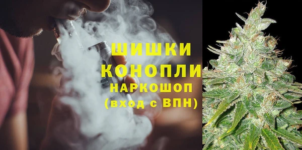 дмт Богородск