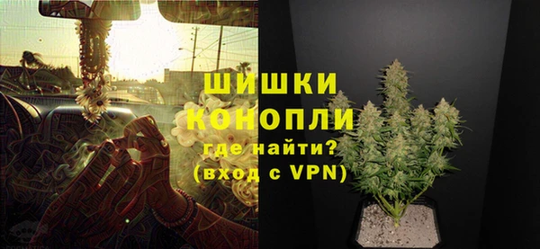 дмт Богородск